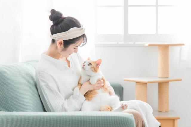 家で猫を抱っこする日本人女性