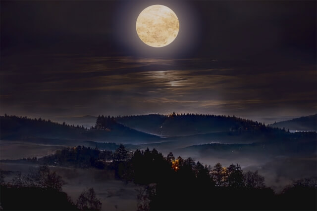 月と黒い森の夜景