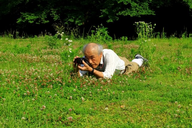 草原でカメラ撮影をする高齢者