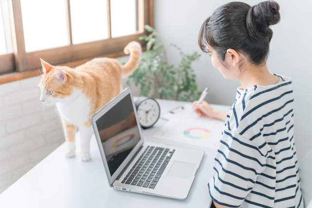 家で猫と一緒に仕事する女性